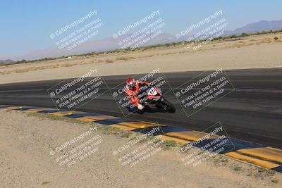 media/Nov-12-2023-SoCal Trackdays (Sun) [[5d1fba4e7d]]/Turn 14 Inside (2pm)/